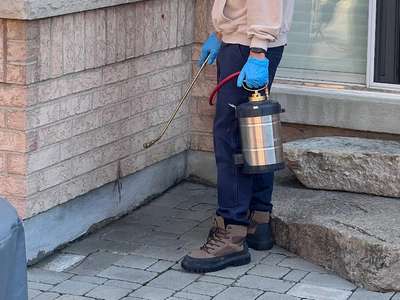 This is a photo of the pest control solutions at Affordable Pest Control.