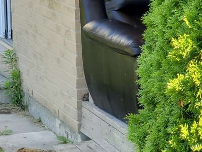 This is a photo of the pest control methods at Affordable Pest Control.