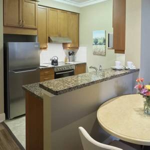 This is a photo of a kitchenette at Delmanor West Village.